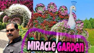 Dubai Miracle Garden 2022  World Largest Gardan ദുബായ് മിറാക്കിൾ ഗാർഡൻഏറ്റവും വലിയ പൂന്തോട്ടം