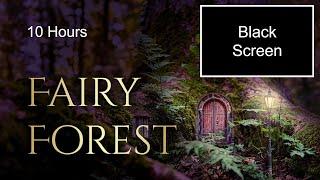 Fairy Forest Ambience for sleep  sounds of magical forest in the evening with ambient fantasy music