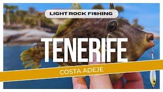 Light Rock Fishing in Tenerife Costa Adeje Part 1