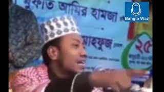 মাওলানা আমির হামজা  বাংলা  ওয়াজ I Maulana Amir Hamza New Bangla Waz collection