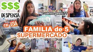 COMPRAS Del SUPERMERCADO con $300 DOLARES Para 7 Dias  ORGANIZANDO TODO PRECIOS ALTOS en USA‼️