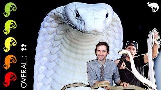 King Cobra The Best Pet Snake? The Most DANGEROUS Day Of My Life