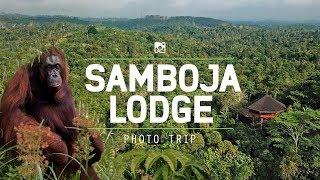 Samboja Lodge Life In Harmony With Nature