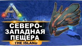 Артефакт небесного лорда на карте Island. Гайд по северо-западной пещере в ARK Survival Evolved.