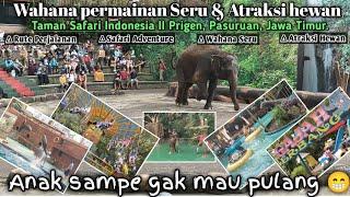 Wahana Seru dan Atraksi Hewan di Taman Safari Prigen  Dijamin Anak Gak Mau Pulang 