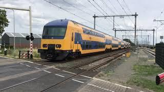 Seldom on mainline railroad Venlo-Eindhoven DDZ Train NS  At Sevenum  Gekkengraaf the NL 27.6.23