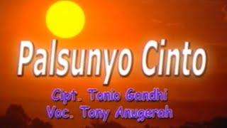 Tony  Anugrah - Palsunyo Cinto Official Music Video
