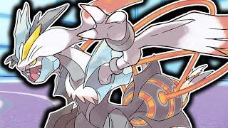 KYUREM-WHITE is super UNDERRATED... • Pokemon ScarletViolet VGC Battles