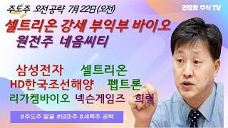 셀트리온 급등 부익부 기술수출 플랫폼 신약 집중