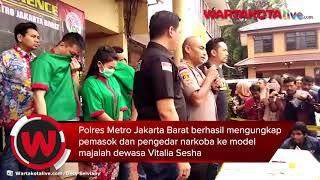 Polisi Tangkap Pengedar Narkoba ke Vitalia Sesha