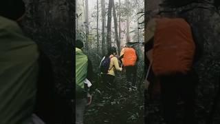 FAKTA Menarik GUNUNG BUKIT RAYA 1 - Pendakian Termahal Kedua Indonesia #shorts #gunung #pendaki