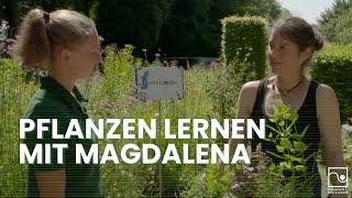 Magdalena lernt Pflanzen  Tipps und Tricks für die Prüfung  GaLaBau Bayern