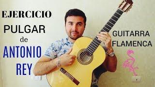 EJERCICIO de PULGAR Antonio Rey  - Guitarra flamenca