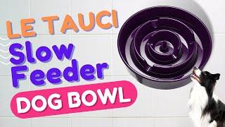 LE TAUCI Ceramic Slow Feeder Dog Bowl