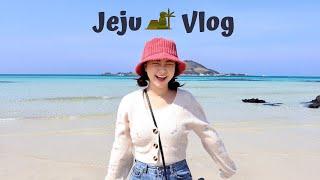 제주도 여행 1ST DAY IN JEJU ISLAND  KOREA VLOG