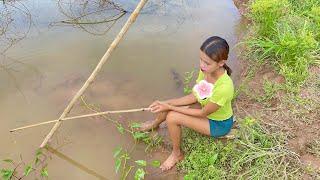 Fishing video Best fishing in small lake