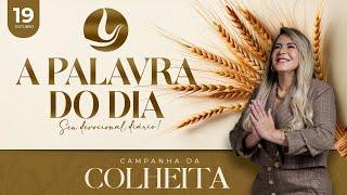 A PALAVRA DO DIA - Campanha da Colheita  19 OUT 2024  Bispa Virginia Arruda