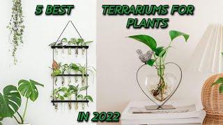 5 Best Terrariums for Plants in 2022