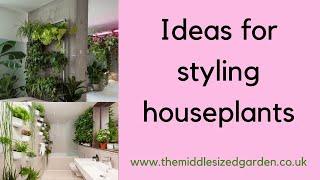 Ideas and tips for styling houseplants