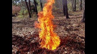 How to Burn Leaves easily  Gary J