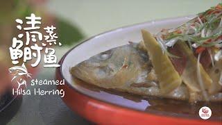 Changzhou cuisine 13 Steamed hilsa herring  常州美食 13  清蒸鲥鱼