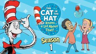 The Cat In The Hat Knows A Lot About That  Series Two  Cartoons for Kids