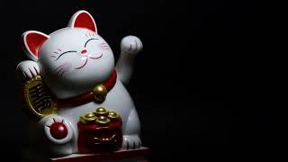 Lucky Cat Video Background