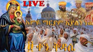 LIVE ሥርዓተ ቅዳሴ ከመሳለምያ ቅድስት ማርያም ካቴድራል የሱባኤው 9ኛ ቀን