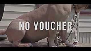 C Struggs Ft. Trap Boy Freddy - No Voucher Music Video