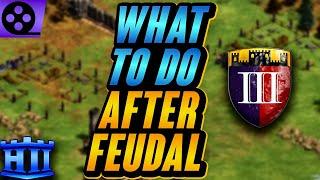 What To Do After Feudal Age  AoE2