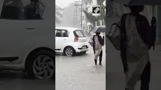 Gujarat Heavy rainfall leads to waterlogging in several parts of Navasari