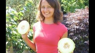 How I Achieved Weight Loss On The 801010 Diet Raw Food Vegan Before And After With Photos