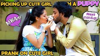 Picking Up Cute Girl With A Puppy Prank️  Kovai Kusumbu  Kovai 360*