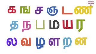 Tamil uyirmei ezhuthukkal  தமிழ் உயிர்மெய் எழுத்துக்கள்  க ங ச ஞ பாடல்  Tamil alphabets & rhymes