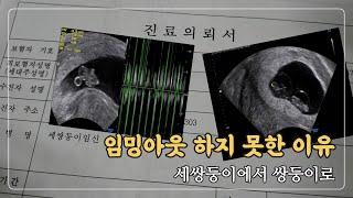 임밍아웃 하지 못한 이유 세쌍둥이에서 쌍둥이로 1편