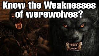 Werewolf की कमजोरी? Weakness of werewolf explain in hindi
