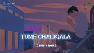 Tume Chaligala Pare - Vlogger Lofi  Lofi Music    Slowed and Reverb  New Sad Song #lofisong