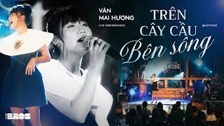 Trên Cây Cầu Bên Sông - Văn Mai Hương  Live at Soul of The Forest