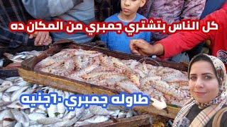 اسعار السمك والجمبري في المزاد بسعر الجمله وارخص مكان في مصر