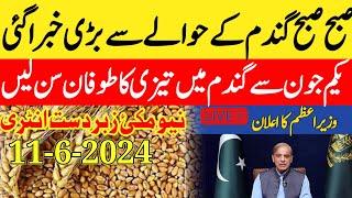 gandam rate todaywheat price today in punjab2024 گندم کا ریٹ Makki ka rate today punjab