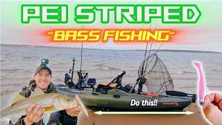 Why Bait Imitation is Key for BEST results PEI Striped Bass Fishing 2024