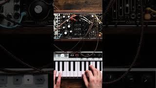 Multi-tap octave delay with Lubadh