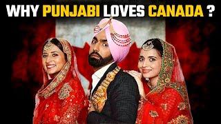 Why Punjabi loves Canada?  Sikhs Migrating to Canada  digitalodd