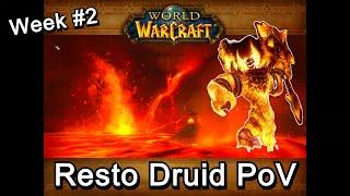 40man Azuregos Onyxia & Molten Core  Level 60 Druid  Resto PoV  WoW Classic Era - Week #2