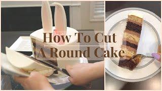 How to cut a TALL CAKE to get more SLICES  How To Cut A Round Cake Cake Cutting Video Tutorial