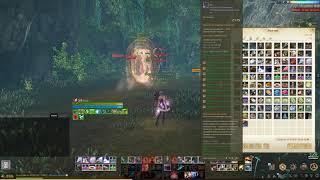 ARCHEAGE 6.5 ДОП УРОН ОРУЖИЯ. ТЕСТ УРОНА В ПВП И ПВЕ.