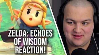 The Legend of Zelda Echoes of Wisdom - A Surprise To Be Sure But A Welcome One
