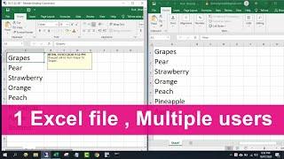 Make 1 Excel file allow Multiple Users at the same time  NETVN