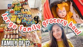 LARGE FAMILY GROCERY HAUL  Mom of 10 w Twins + Triplets