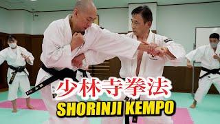 Punch against Shorinji Kempo and you are in danger